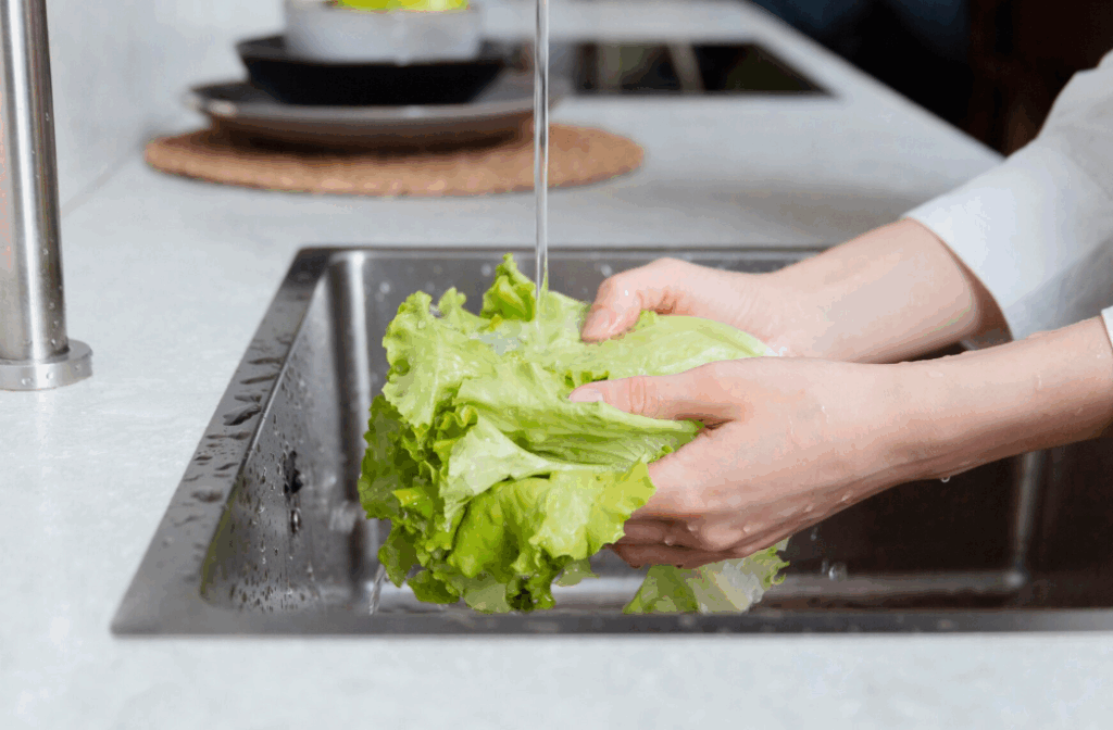 葉菜類冷藏保鮮處理方法