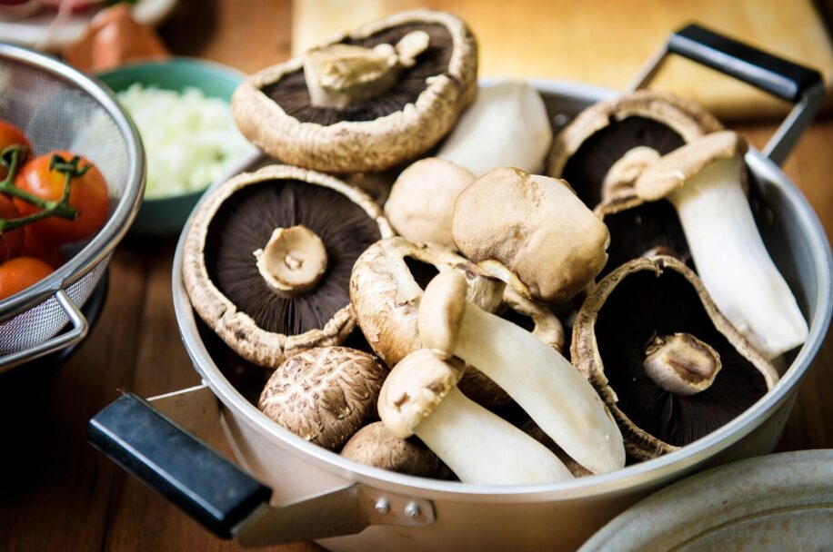 fresh mushroom