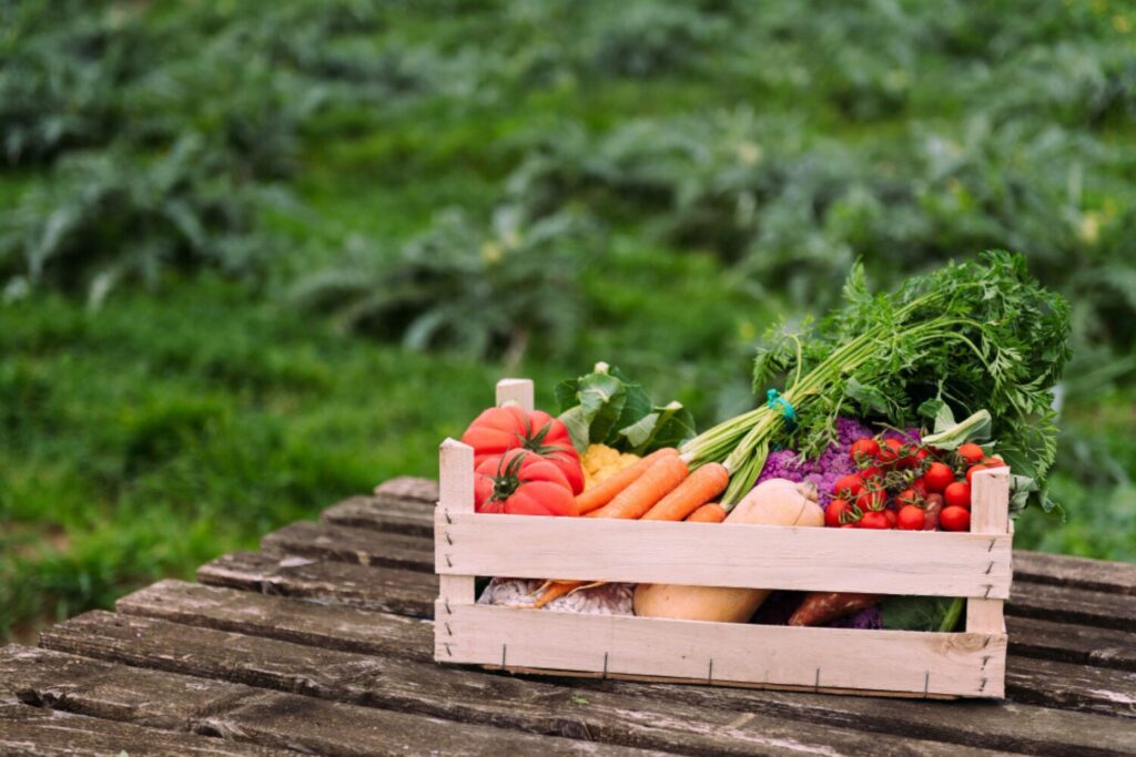 farmer vegetable